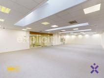 Pronájem obchodního prostoru, Staré Město, Brněnská, 387 m2