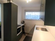 Pronájem bytu 1+kk, Brno, Brigádnická, 20 m2