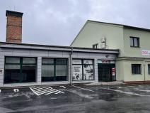 Pronájem skladu, Opava - Předměstí, Těšínská, 8925 m2