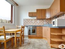 Prodej bytu 1+1, Mladá Boleslav, Na Radouči, 41 m2