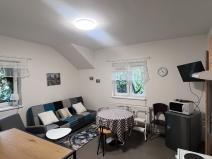 Pronájem bytu 1+kk, Teplá, Havlíčkova, 48 m2