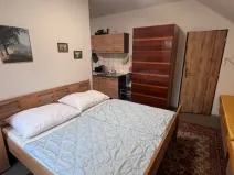 Pronájem bytu 1+kk, Teplá, Havlíčkova, 48 m2