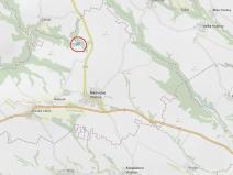 Prodej lesa, Mělnické Vtelno, 14454 m2