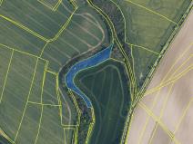 Prodej lesa, Mělnické Vtelno, 4269 m2