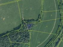 Prodej podílu lesa, Malenice, 3819 m2