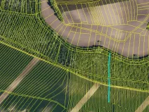 Dražba zahrady, Šitbořice, 1020 m2