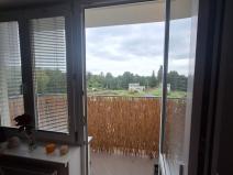 Prodej bytu 2+kk, Plesná, Kostelní, 42 m2