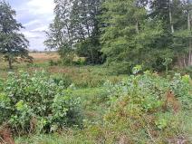 Prodej zahrady, Borek, 3737 m2