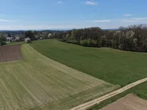 Prodej lesa, Chlum u Třeboně - Žíteč, 389696 m2