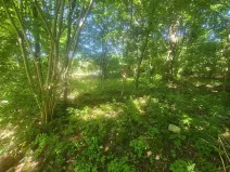 Prodej pozemku pro bydlení, Staré Křečany, 2547 m2