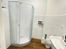 Pronájem bytu 1+kk, Praha - Nusle, Na bitevní pláni, 30 m2