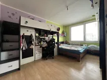 Prodej bytu 1+1, Pardubice - Zelené Předměstí, nábřeží Závodu míru, 40 m2