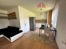 Pronájem bytu 1+kk, Vigantice, 39 m2
