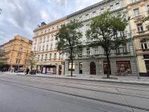 Pronájem bytu 3+kk, Praha - Vinohrady, 159 m2