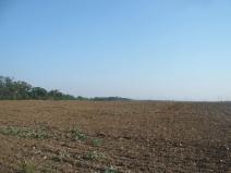 Prodej komerčního pozemku, Veltrusy, 27806 m2