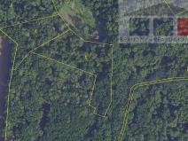 Prodej lesa, Přerov nad Labem, 7889 m2