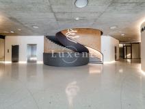 Pronájem kanceláře, Praha - Smíchov, Holečkova, 341 m2