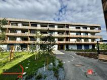 Pronájem bytu 1+kk, Plzeň - Východní Předměstí, Kartónová, 43 m2