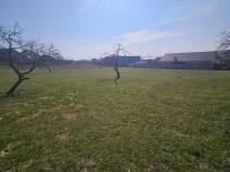 Prodej pozemku pro bydlení, Litoměřice - Pokratice, 1478 m2