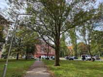 Pronájem bytu 2+1, Chomutov, Marie Pujmanové, 53 m2