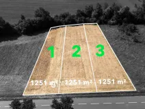 Prodej zahrady, Únanov, 1251 m2