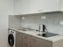 Pronájem bytu 1+kk, Brno, Koliště, 27 m2