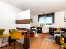 Pronájem bytu 1+kk, Plzeň - Jižní Předměstí, Magisterská, 31 m2