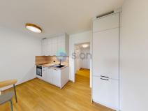 Pronájem bytu 1+kk, Ostrava, U Hájenky, 34 m2