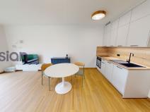 Pronájem bytu 1+kk, Ostrava, U Hájenky, 34 m2