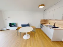 Pronájem bytu 1+kk, Ostrava, U Hájenky, 34 m2