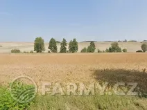 Prodej pole, Kožušice, 21480 m2
