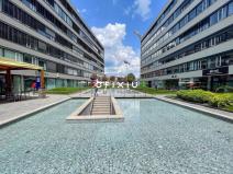 Pronájem kanceláře, Brno - Staré Brno, Nové sady, 284 m2