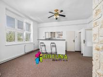 Prodej bytu 3+1, České Budějovice - České Budějovice 3, Fr. Hrubína, 81 m2