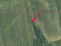 Prodej pole, Kněždub, 1981 m2