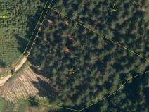 Prodej lesa, Lhota u Vsetína, 7226 m2