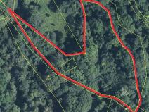 Prodej lesa, Trutnov, 4983 m2