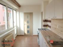 Prodej bytu 3+1, Litvínov - Horní Litvínov, U Zámeckého parku, 59 m2