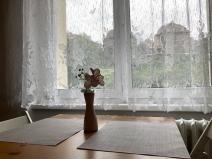 Pronájem bytu 3+1, Praha - Libeň, Františka Kadlece, 68 m2