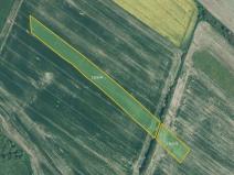 Prodej pole, Švihov, 5538 m2