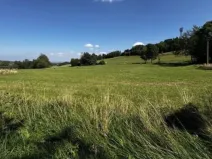 Dražba louky, Zlaté Hory, 32826 m2