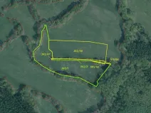 Dražba louky, Ždírec, 26461 m2