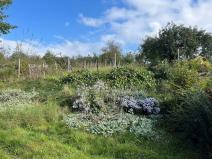 Prodej pozemku pro bydlení, Buchlovice, K Buchlovu, 1251 m2