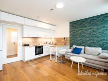 Pronájem bytu 1+kk, Praha - Vinohrady, Perucká, 26 m2