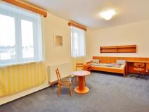 Pronájem bytu 1+kk, Brno, Horova, 27 m2