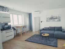 Prodej bytu 2+kk, Brno - Staré Brno, Náplavka, 47 m2