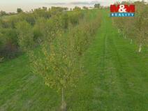 Prodej pole, Ostrožská Nová Ves, 2885 m2
