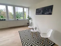 Prodej bytu 1+kk, Praha - Karlín, Nekvasilova, 30 m2