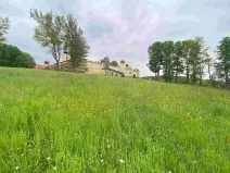 Dražba louky, Králíky, 25968 m2