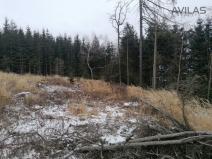 Prodej lesa, Votice - Hory, 9012 m2