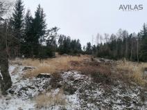 Prodej lesa, Votice - Hory, 11862 m2